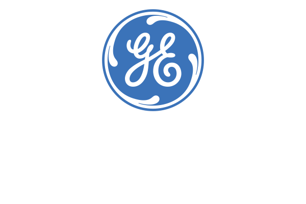 2017: General Electric adquiere Alstom Power y mantiene la licencia de Pioneer.